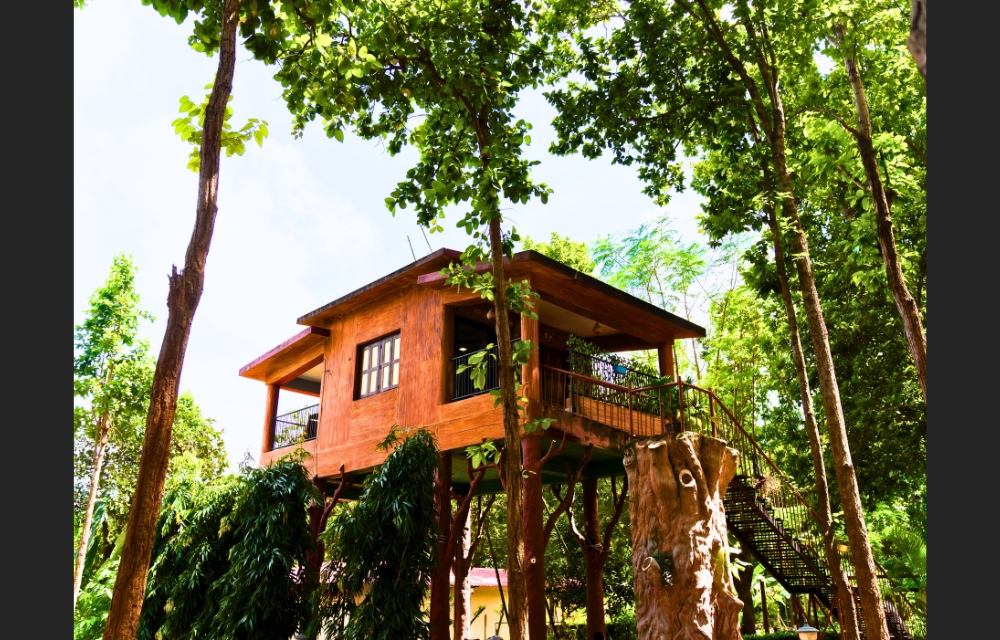 Tree House Double Bed